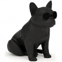 Jarre Technologies AeroBull XS1 Mattschwarze tragbare Bluetooth-Lautsprecher