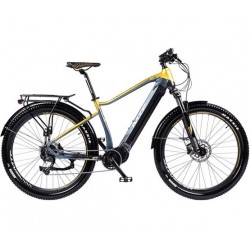 Vélo électrique VTT MTF SUV 29 pouces 900Wh 36V/25Ah Cadre 21'