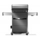Napoleon Rogue® PRO-S 425 RSIB SIZZLE ZONE™ 5-pits gasgrill met 1 achter