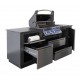 OASIS® Compact P500 Napoleon Outdoor Kitchen with Barbecue and Sizzle ZoneMD