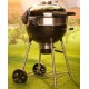 Napoleon houtskoolgrill PRO22