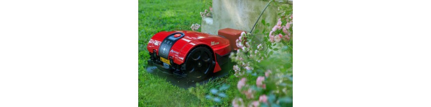 Cortadoras de césped y equipos de jardín